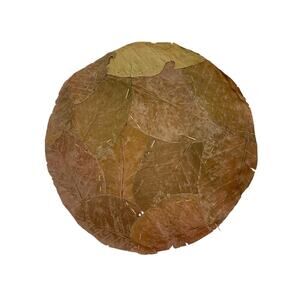 Set of 10 Leafline Platters or Placemats Disposable Natural Leaf Dinnerware